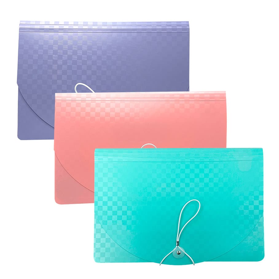 CARPETA EXPANDIBLE 24 ESPACIOS TEXTURIZADO